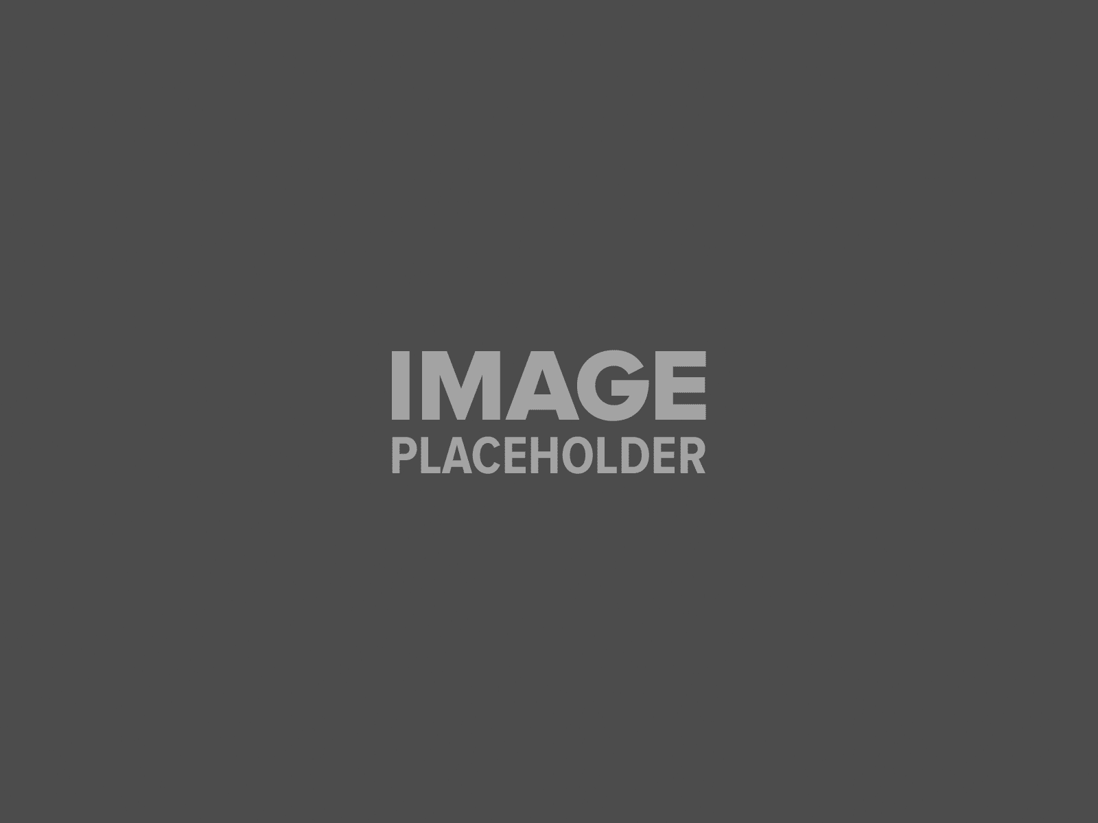 pojo-placeholder-1