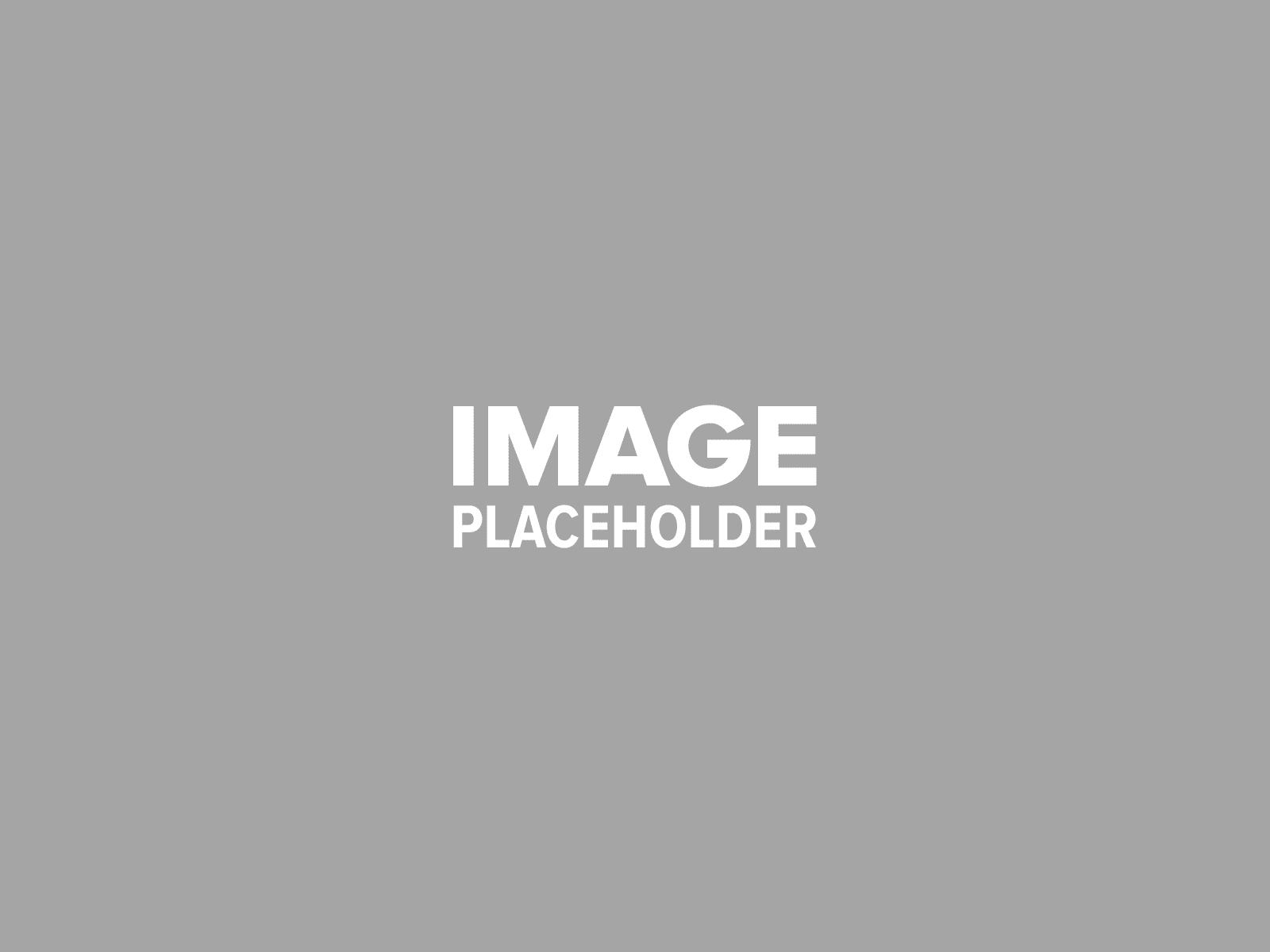 pojo-placeholder-3